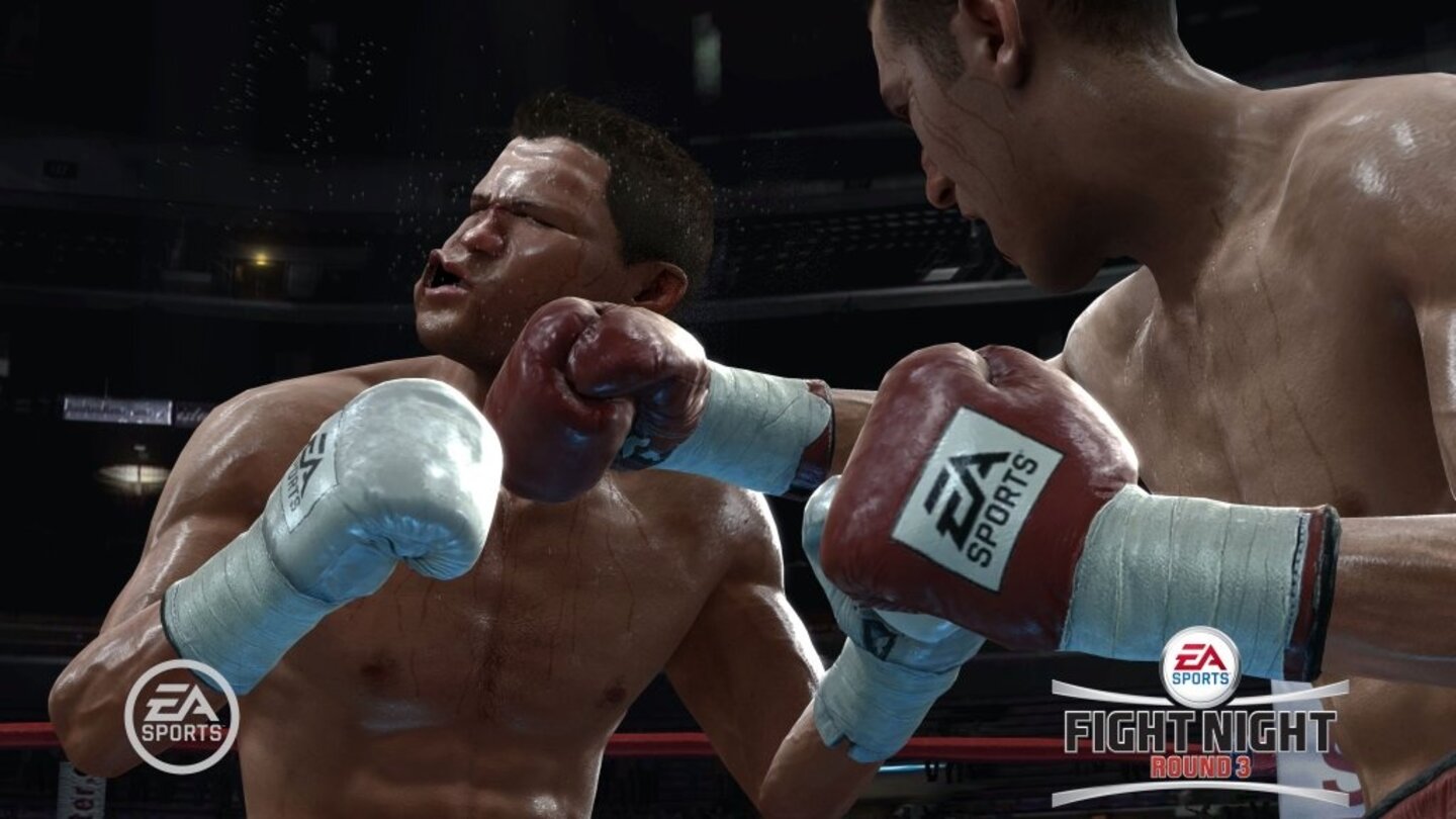 FightNightRound3PS3-8644-591 11
