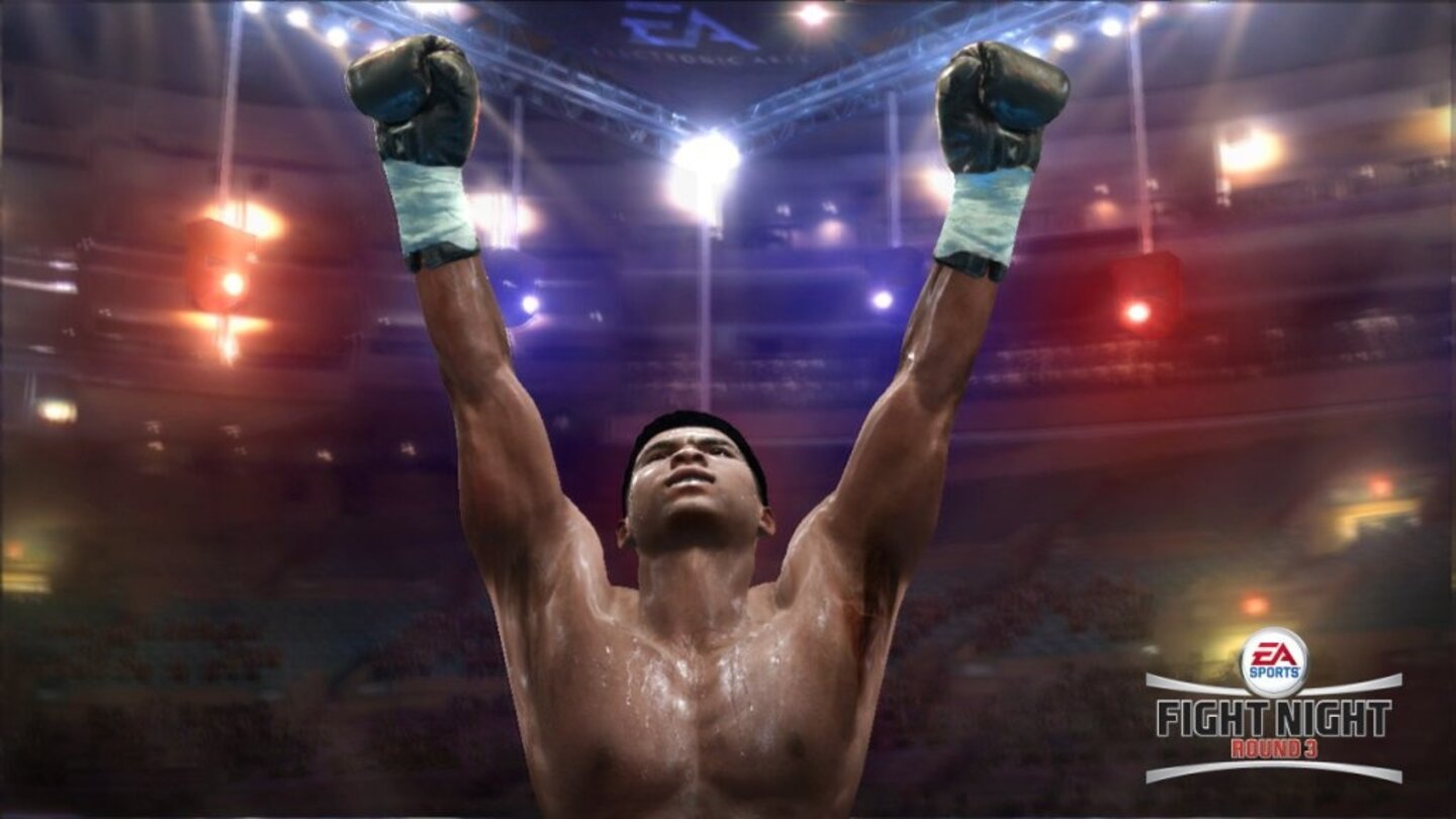 FightNightRound3PS3-8644-591 12
