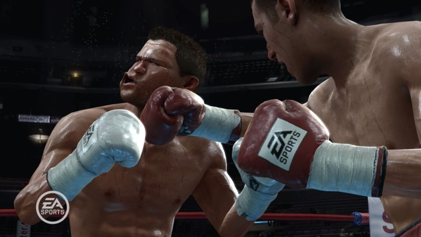 FightNightRound3PS3-8644-746 14