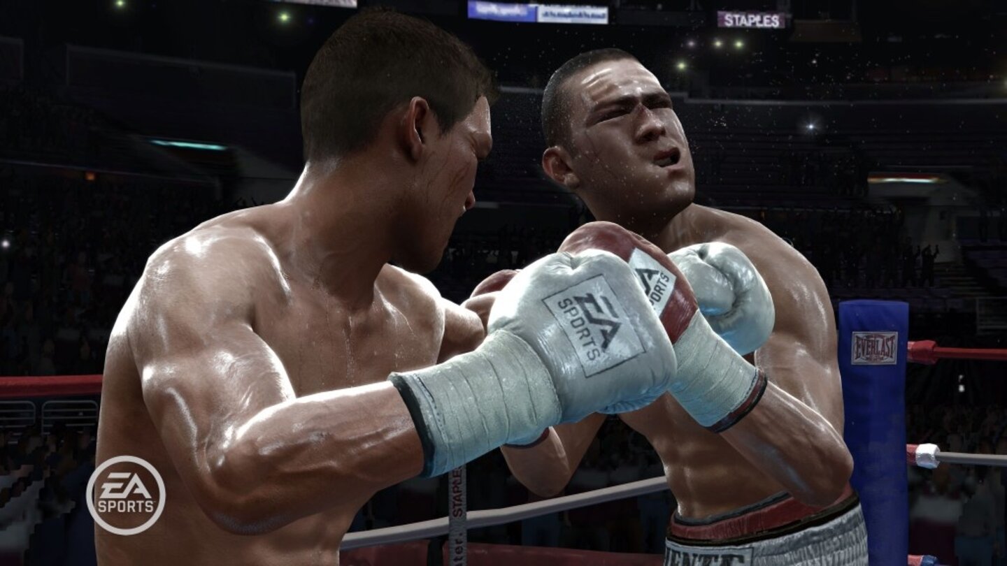 FightNightRound3PS3-8644-795 10