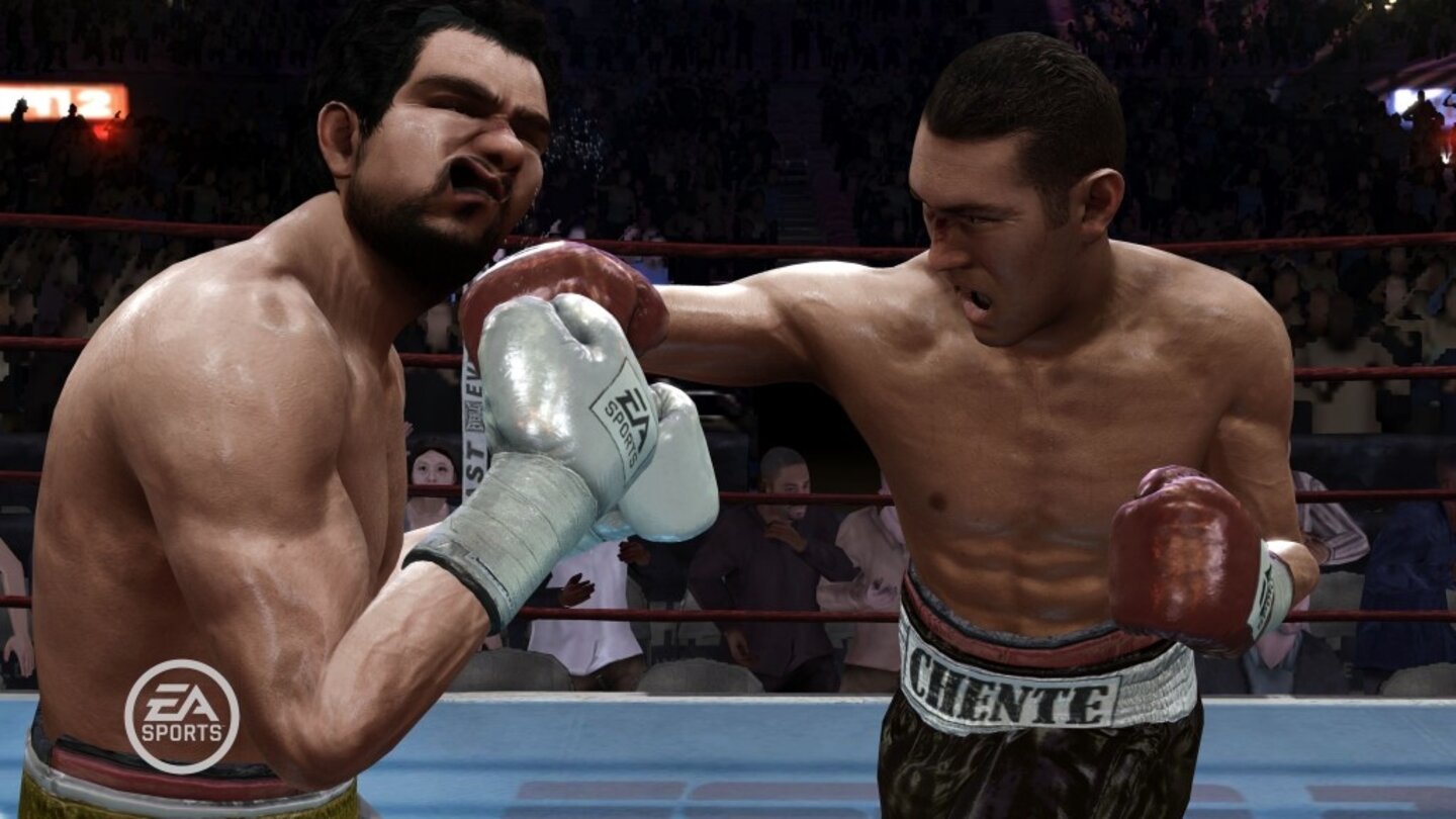 FightNightRound3PS3-8644-795 11