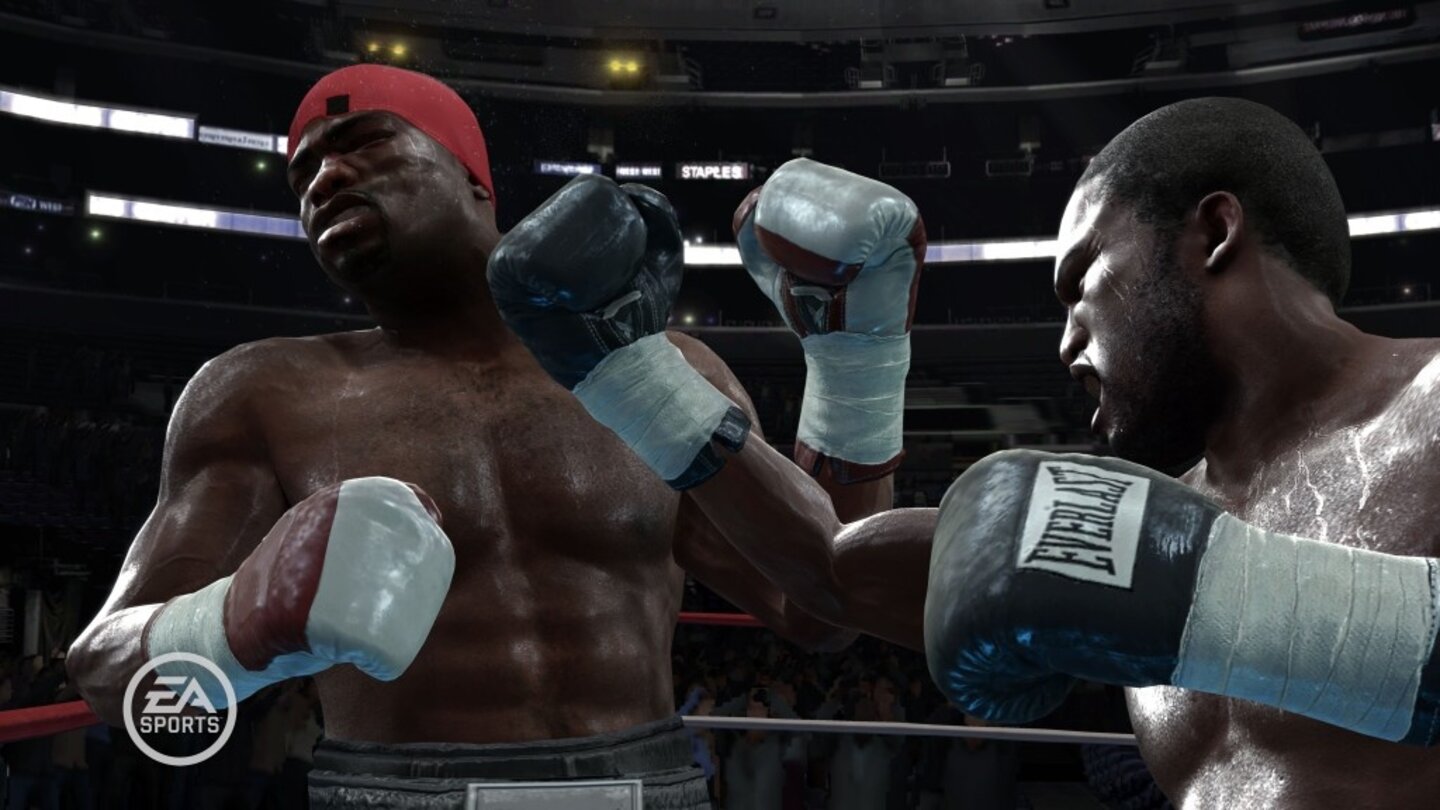 FightNightRound3PS3-8644-795 13