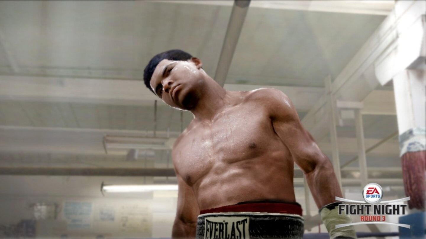 FightNightRound3PS3-8644-795 14