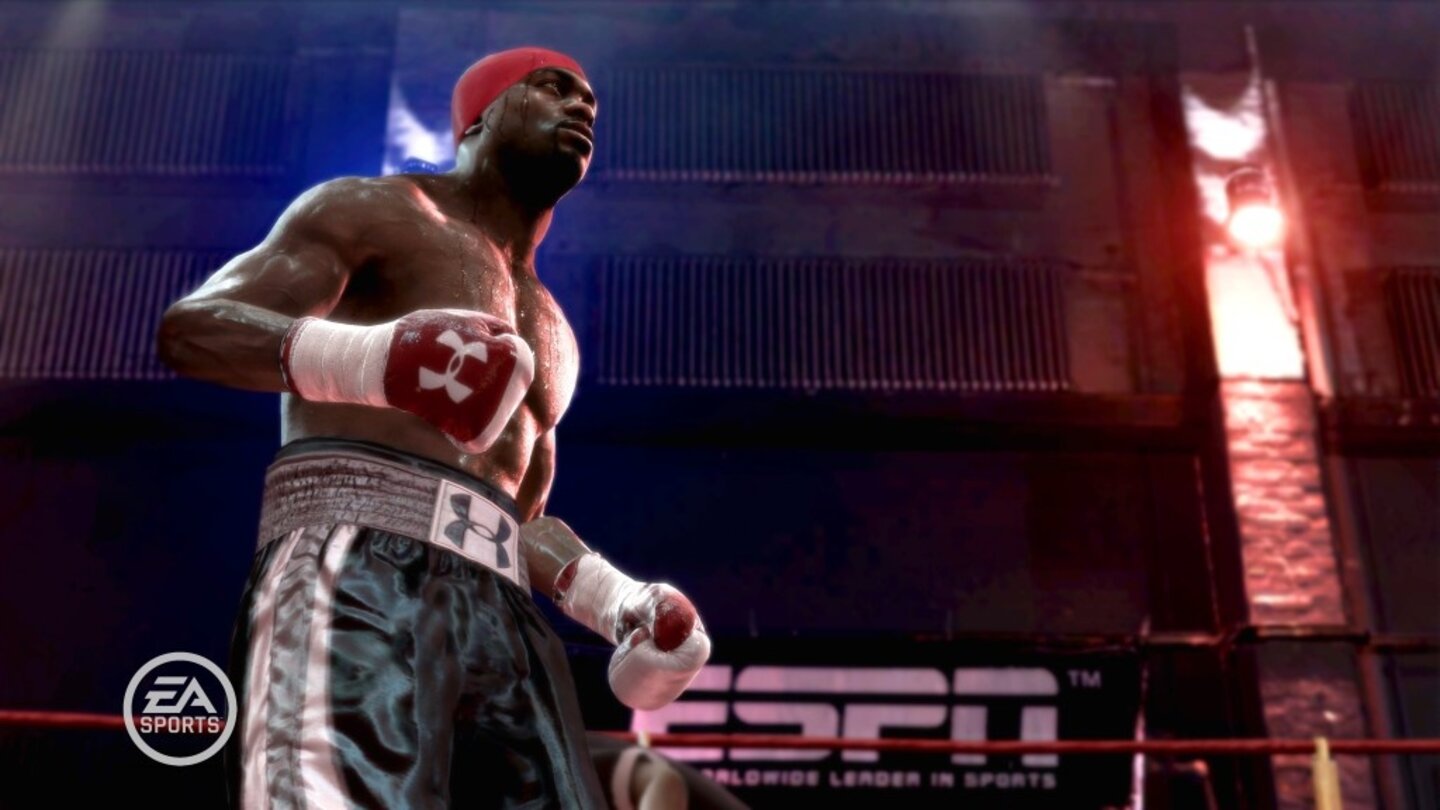 FightNightRound3PS3-8644-795 5