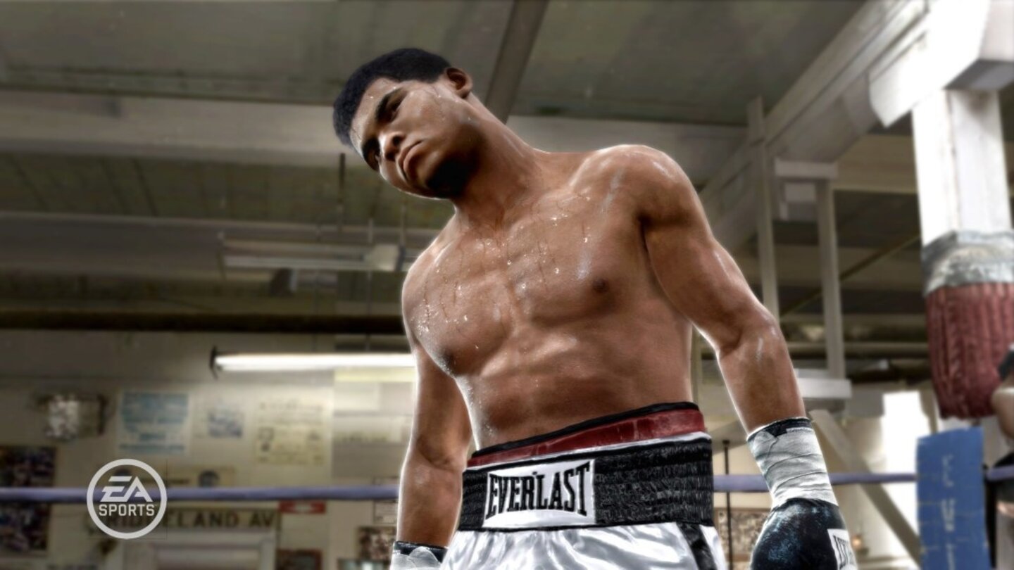 FightNightRound3PS3-8644-795 6