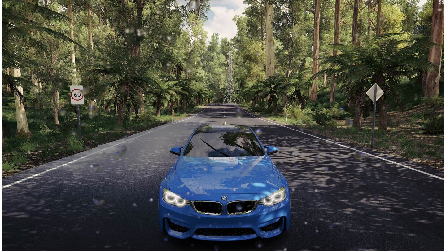 Forza Horizon 3Auch hier ein 4K-Shot: Die Regenperlen im Dschungel beeindrucken genauso wie die dichten Wälder.