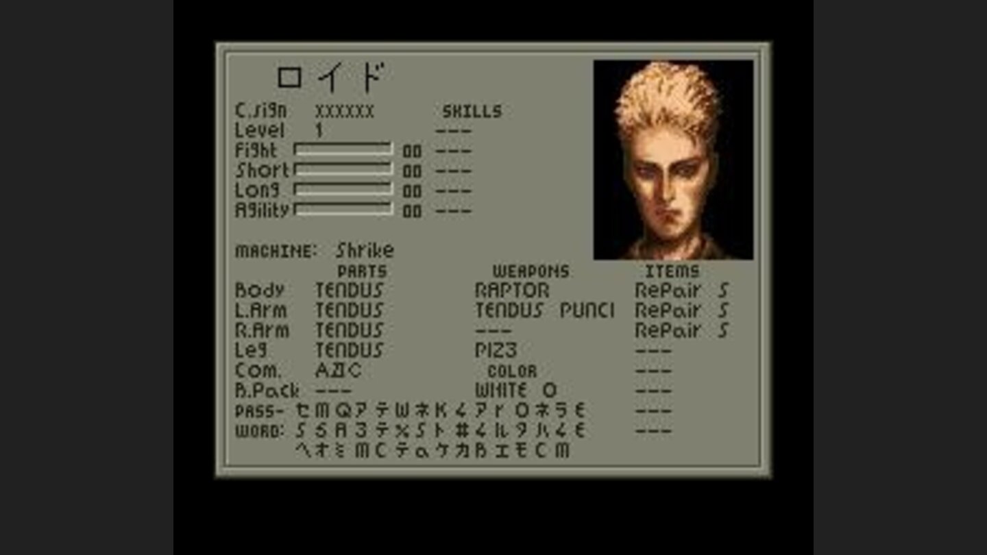 Character information outside of battle