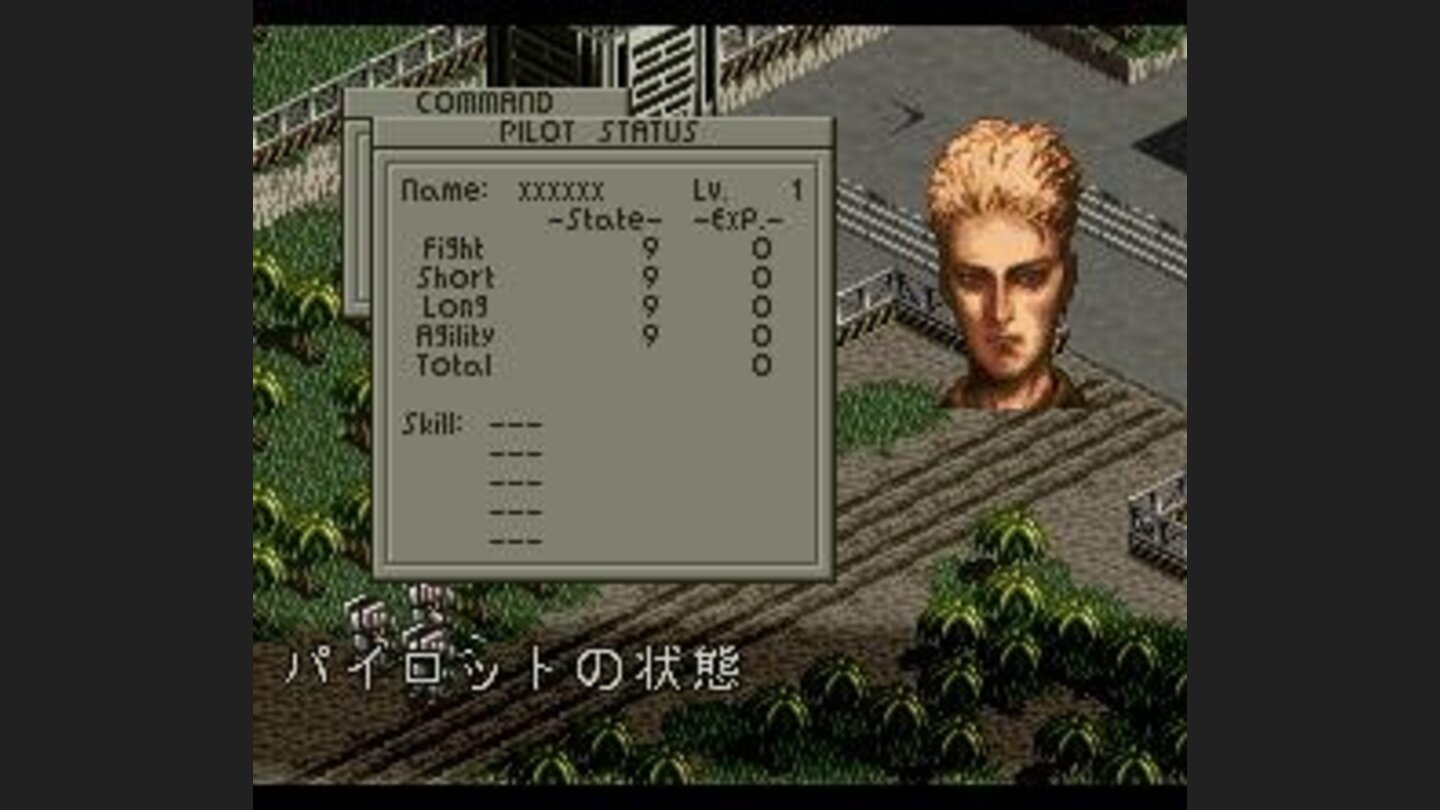 Viewing character information during battle