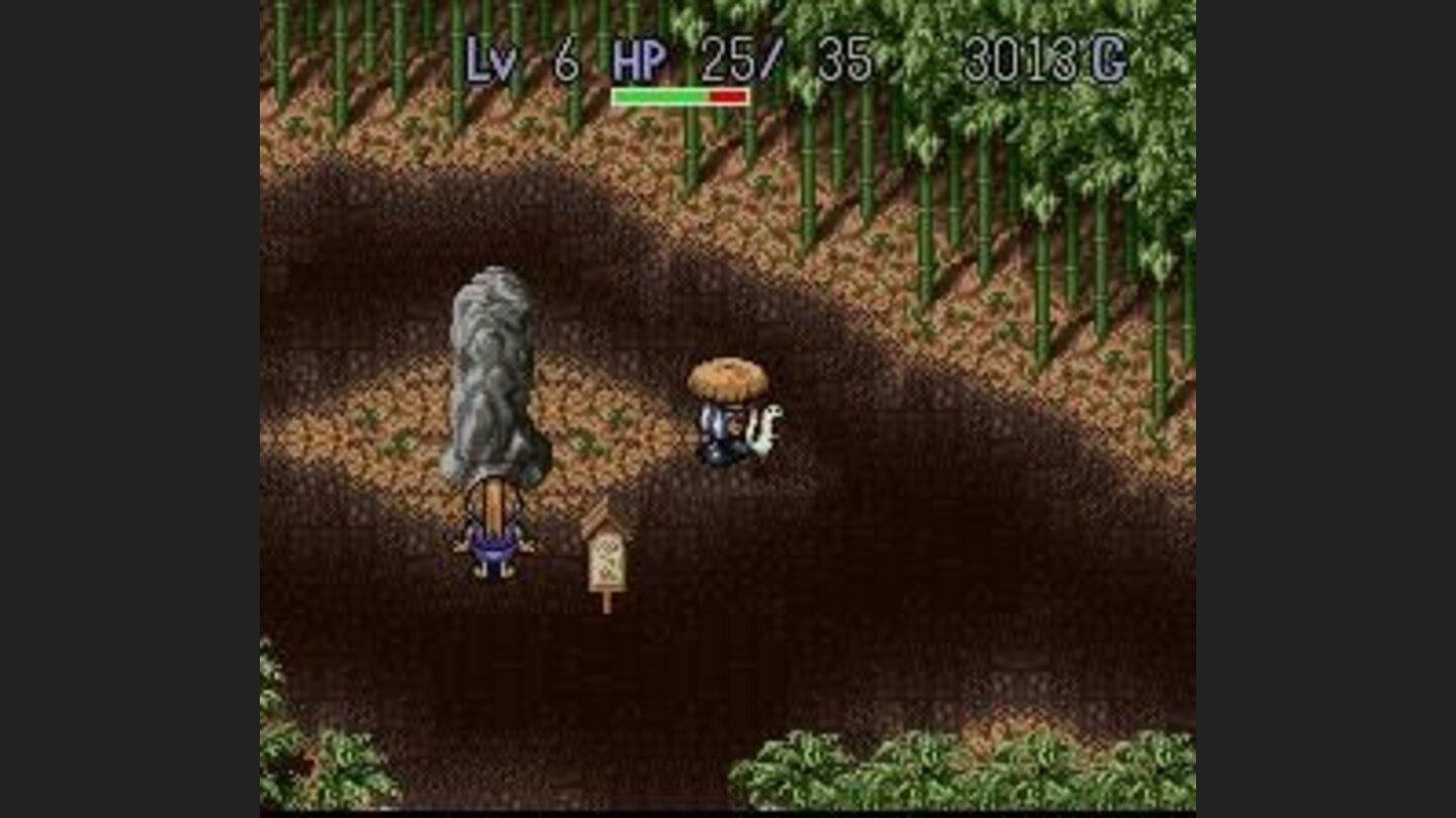 Near the Bamboo Village