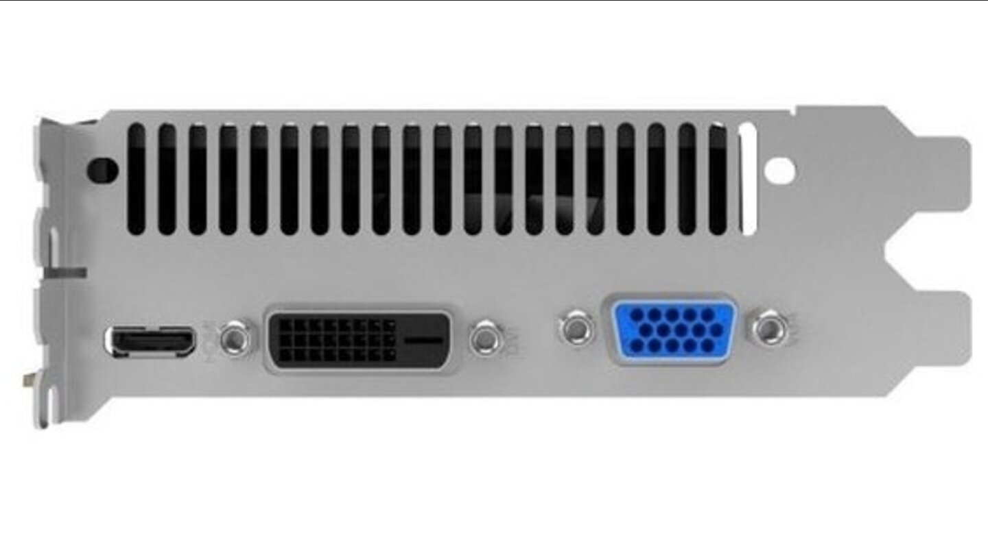 Einen der zwei DVI-Anschlüsse des Referenzdesigns ersetzt Gainward durch eine VGA-Buchse. Daneben gibt es noch einen Mini-HDMI-Port.