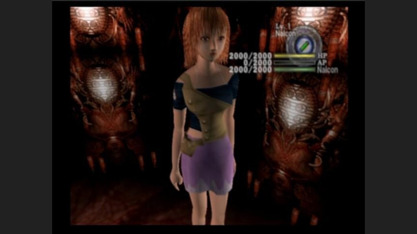 You can look through Rions eyes in 1st-person perspective, but cannot move and the same time