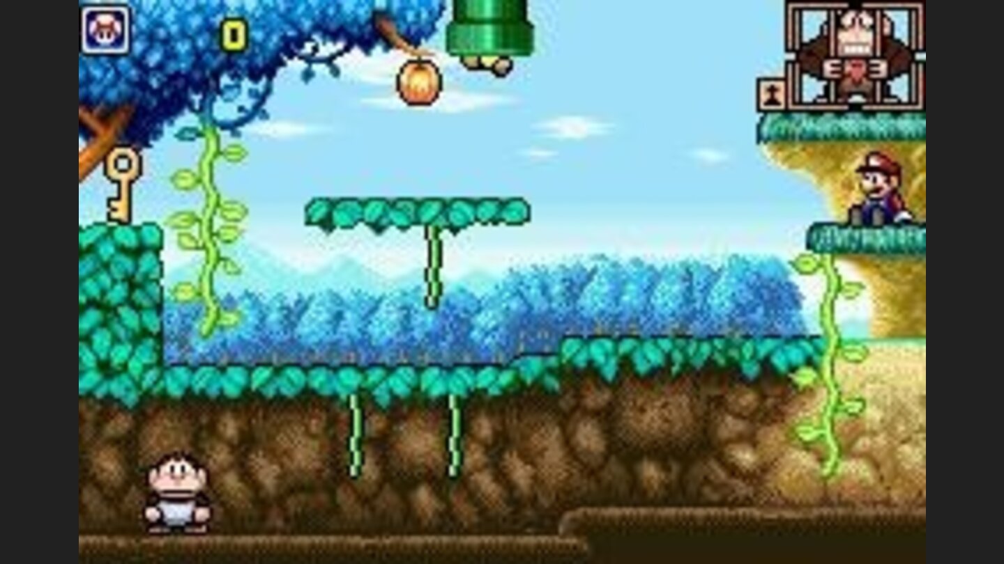 This is the modern version of Donkey Kong Jr. (Level 1)
