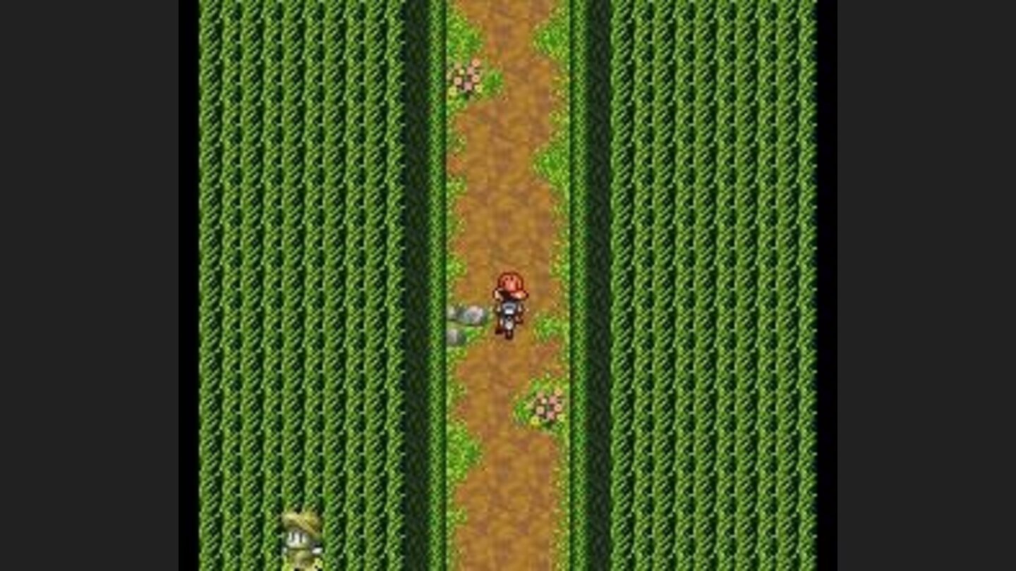 On a bicycle, through the fields...