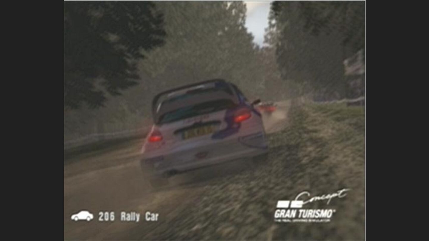 The Back of the Peugeot 206 Rally Car