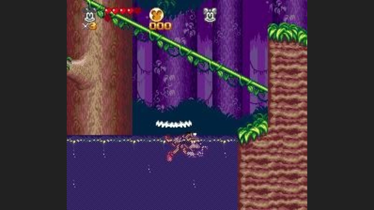 Swimming in jungle