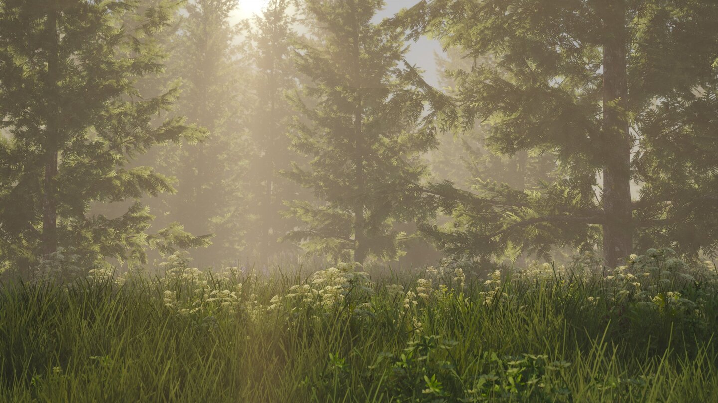 GTA 5 - NaturalVision Mod