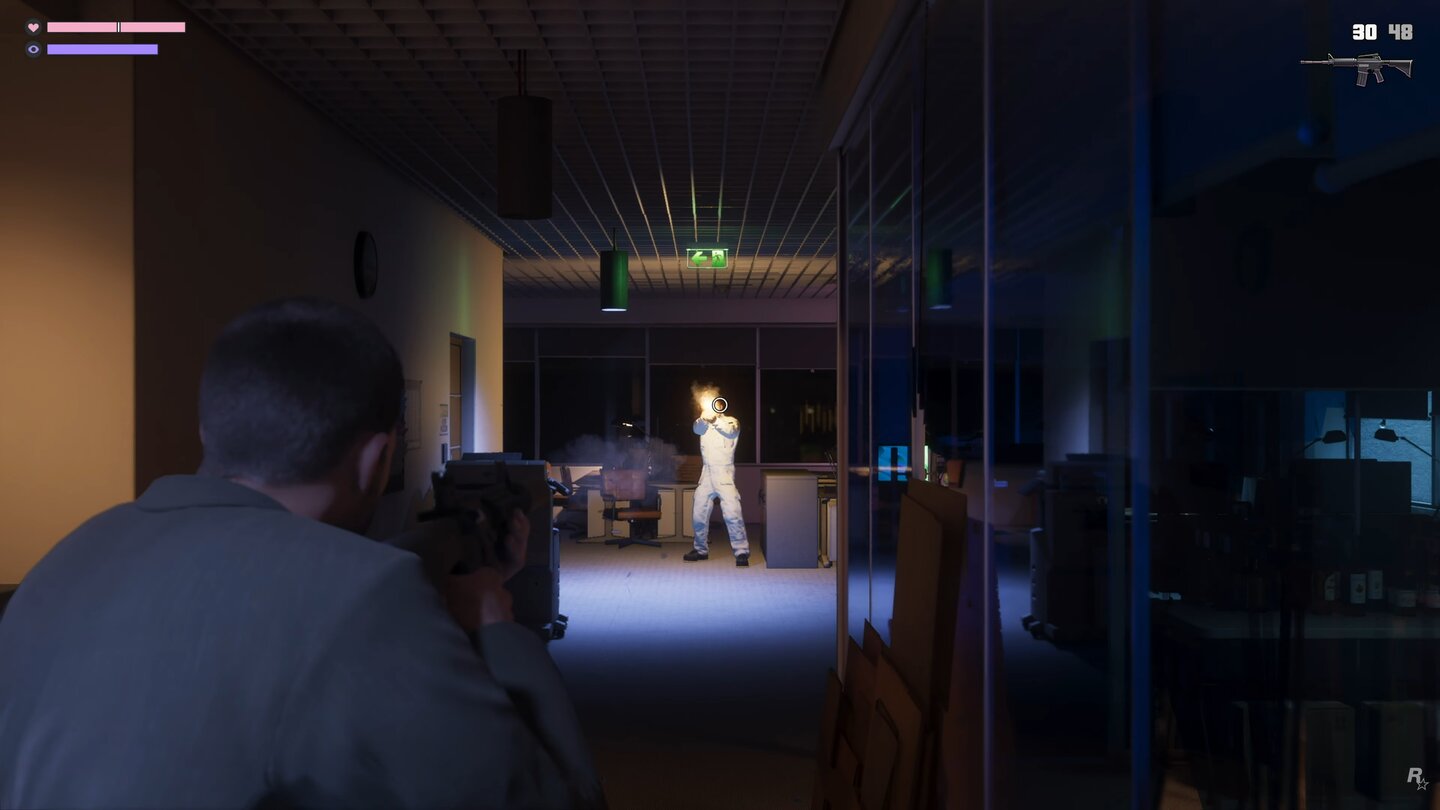 GTA 6 (Netflix Reveal)