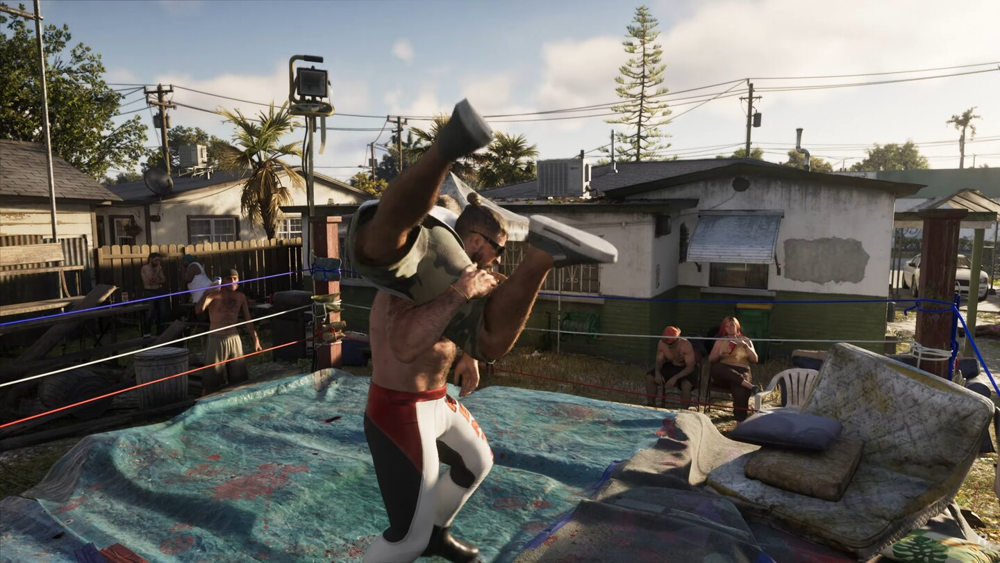 GTA 6 (Netflix Reveal)