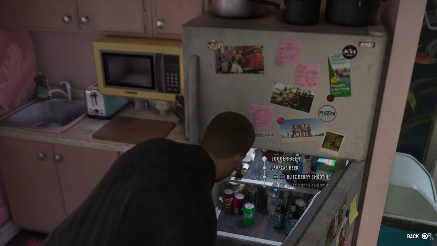 GTA 6 (Netflix Reveal)