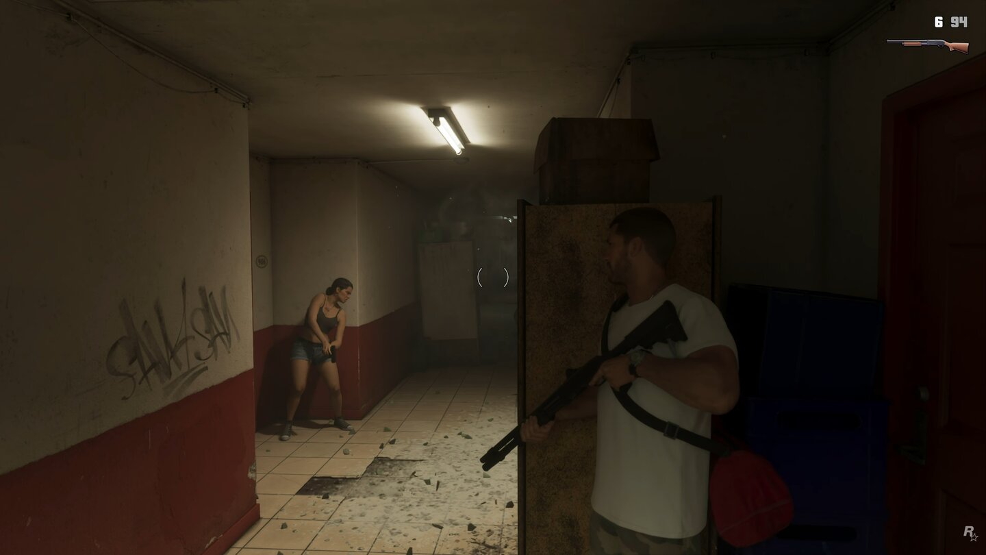 GTA 6 (Netflix Reveal)