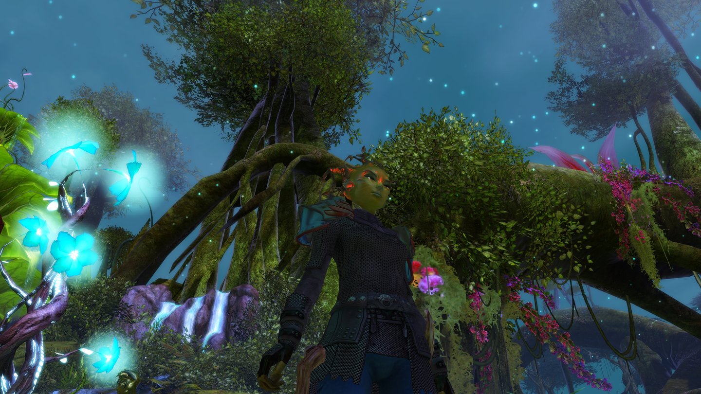 Guild Wars 2 - Die SylvariBei Nacht leuchten die Farben des Caledon-Waldes besonders beeindruckend.