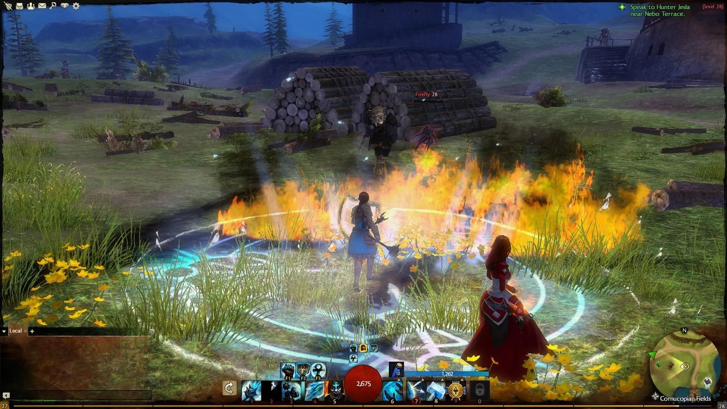 Guild Wars 2Unser Wächter hat sich hinter der Flammenwand eines Elementalisten verschanzt und wirkt einen Schutzzauber.