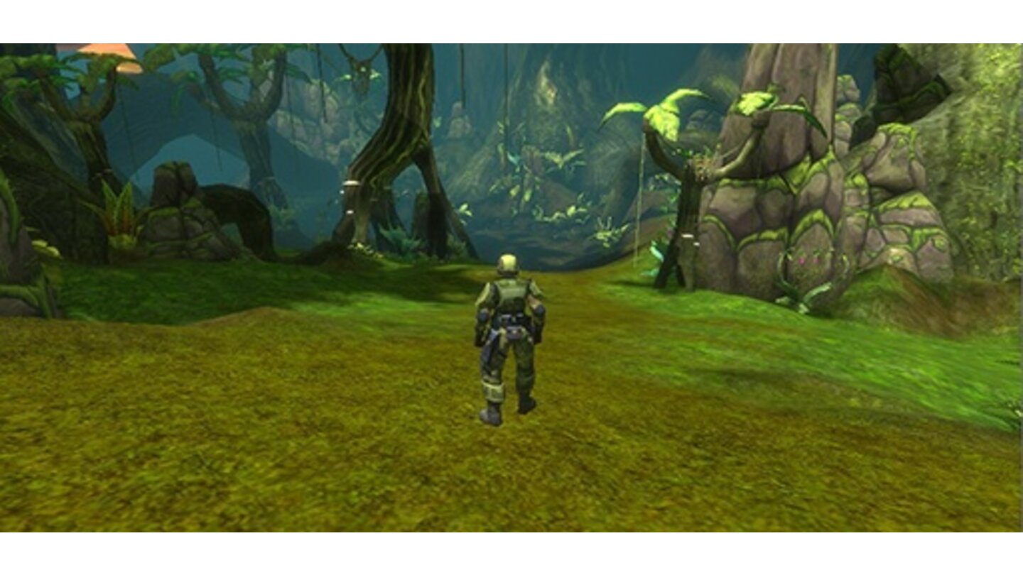 Halo MMO