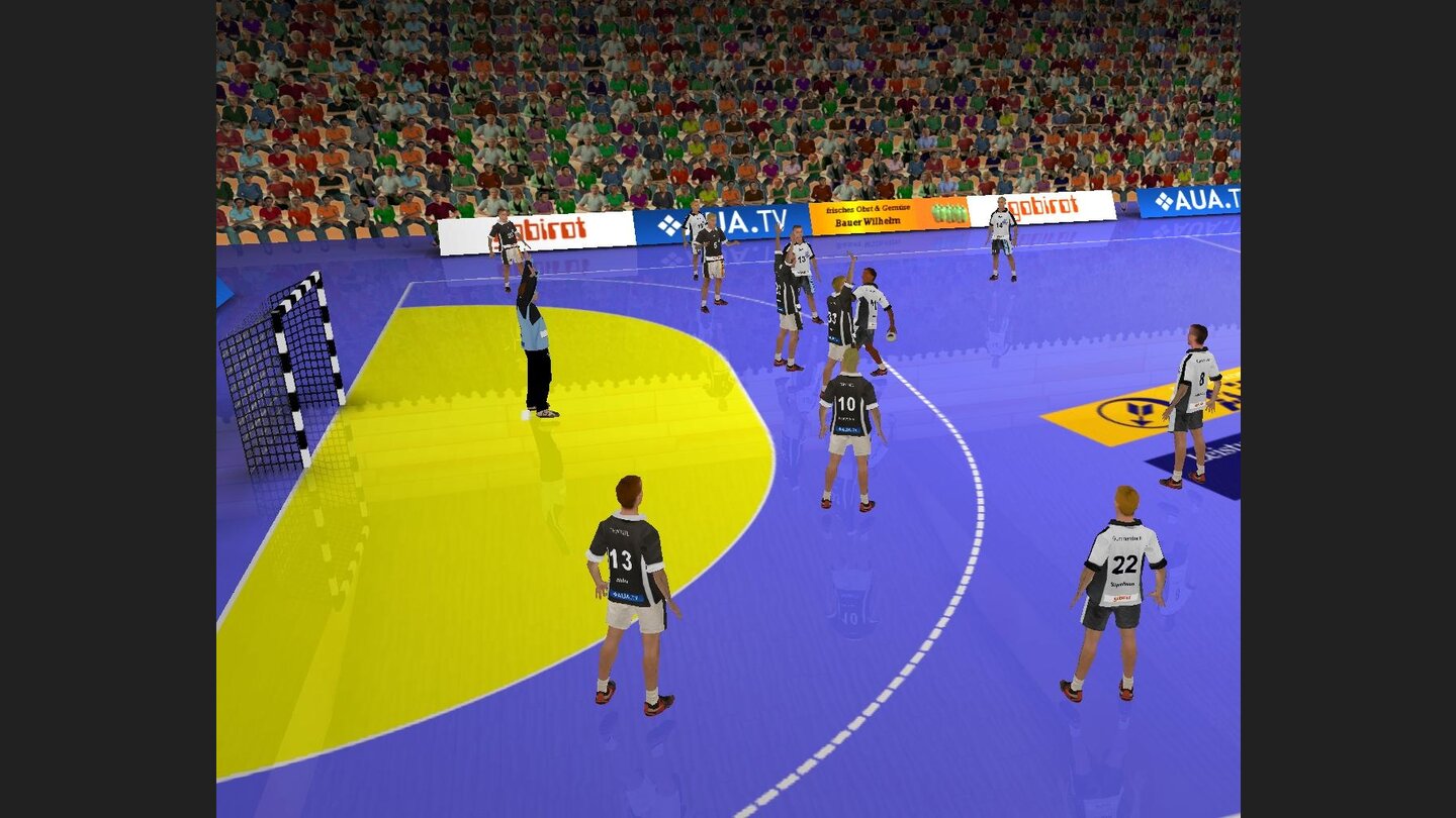 Handball Manager 2008 3