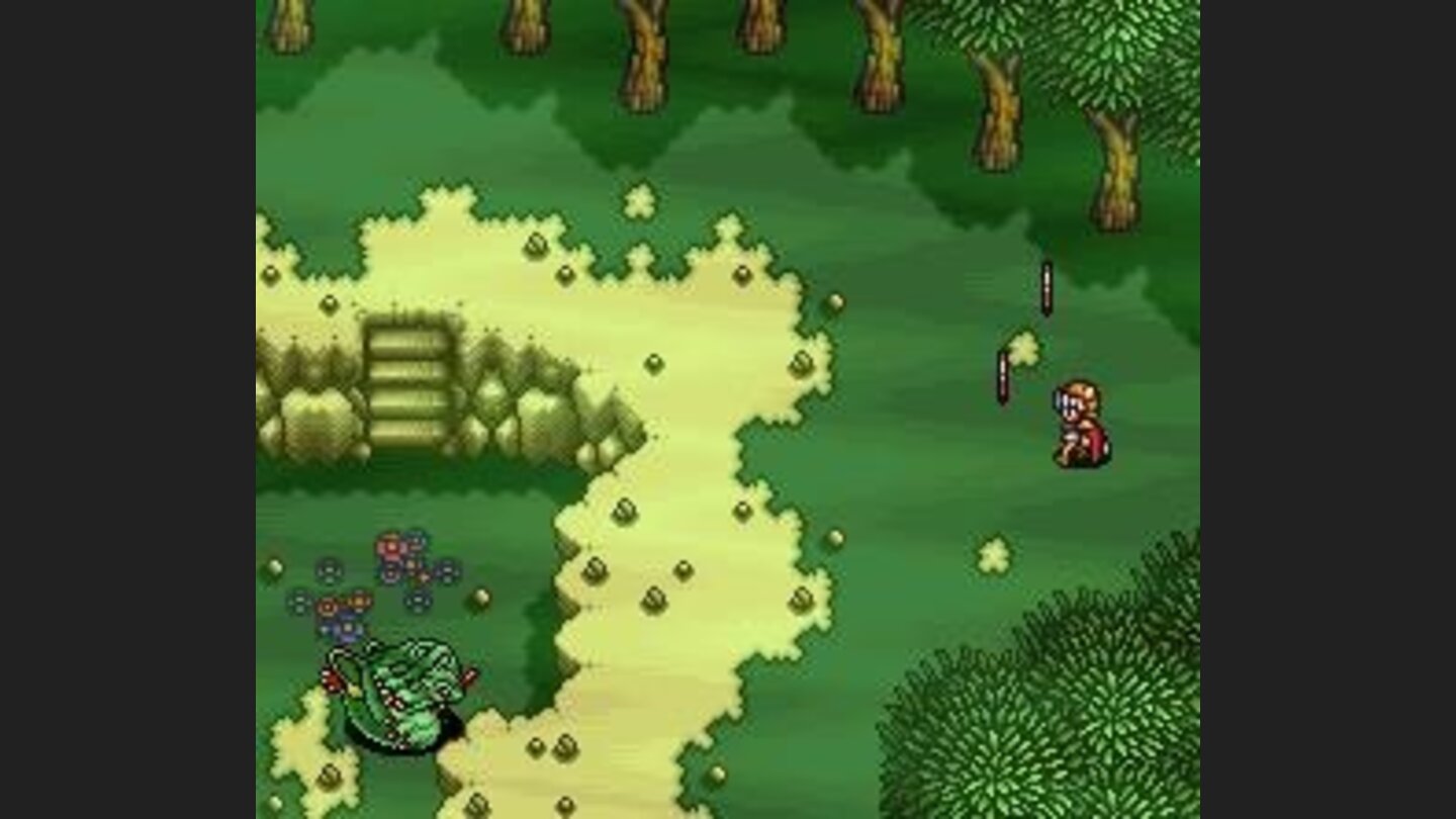 Forest area