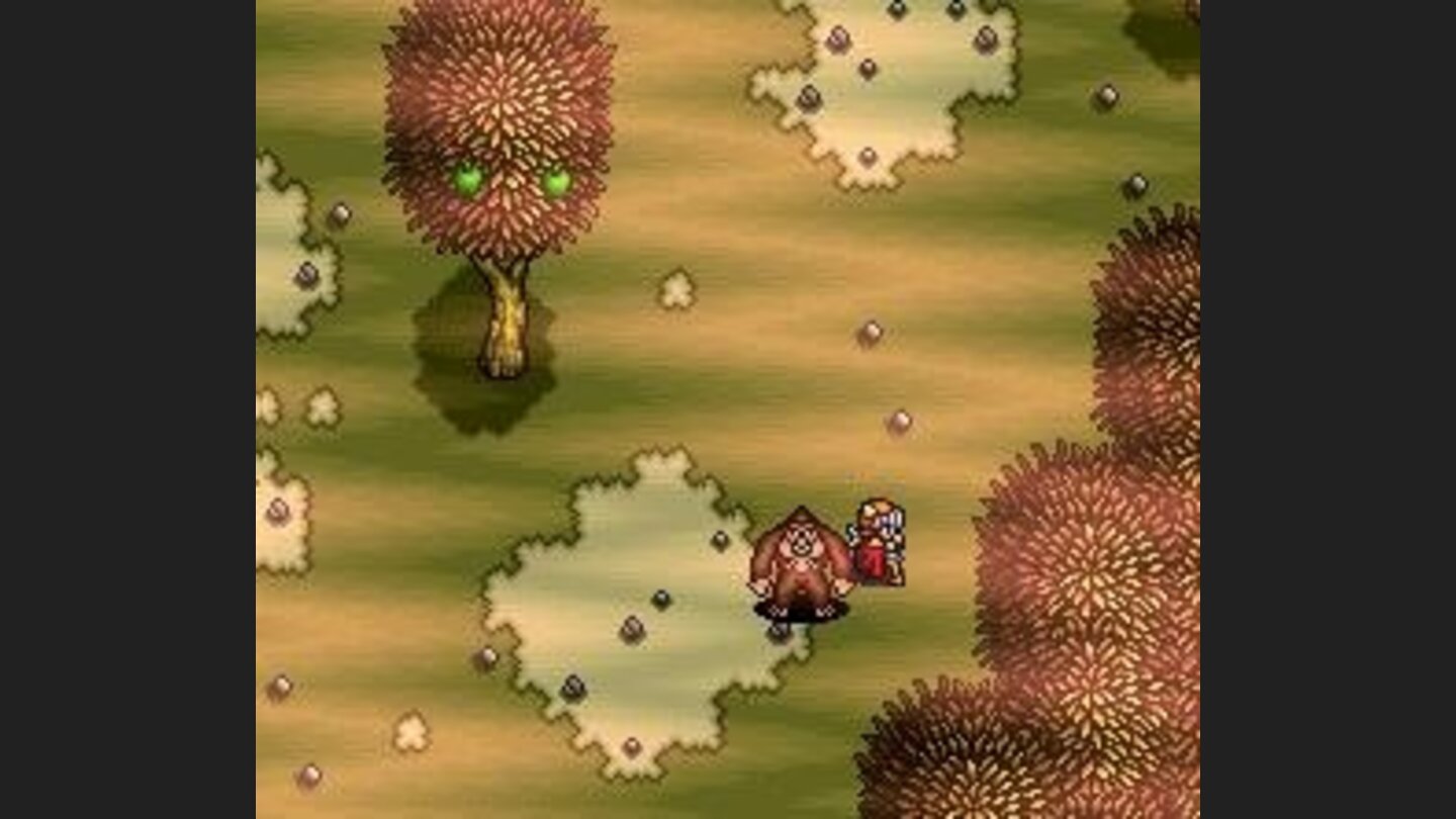 Ogres attack in this forest with strange trees