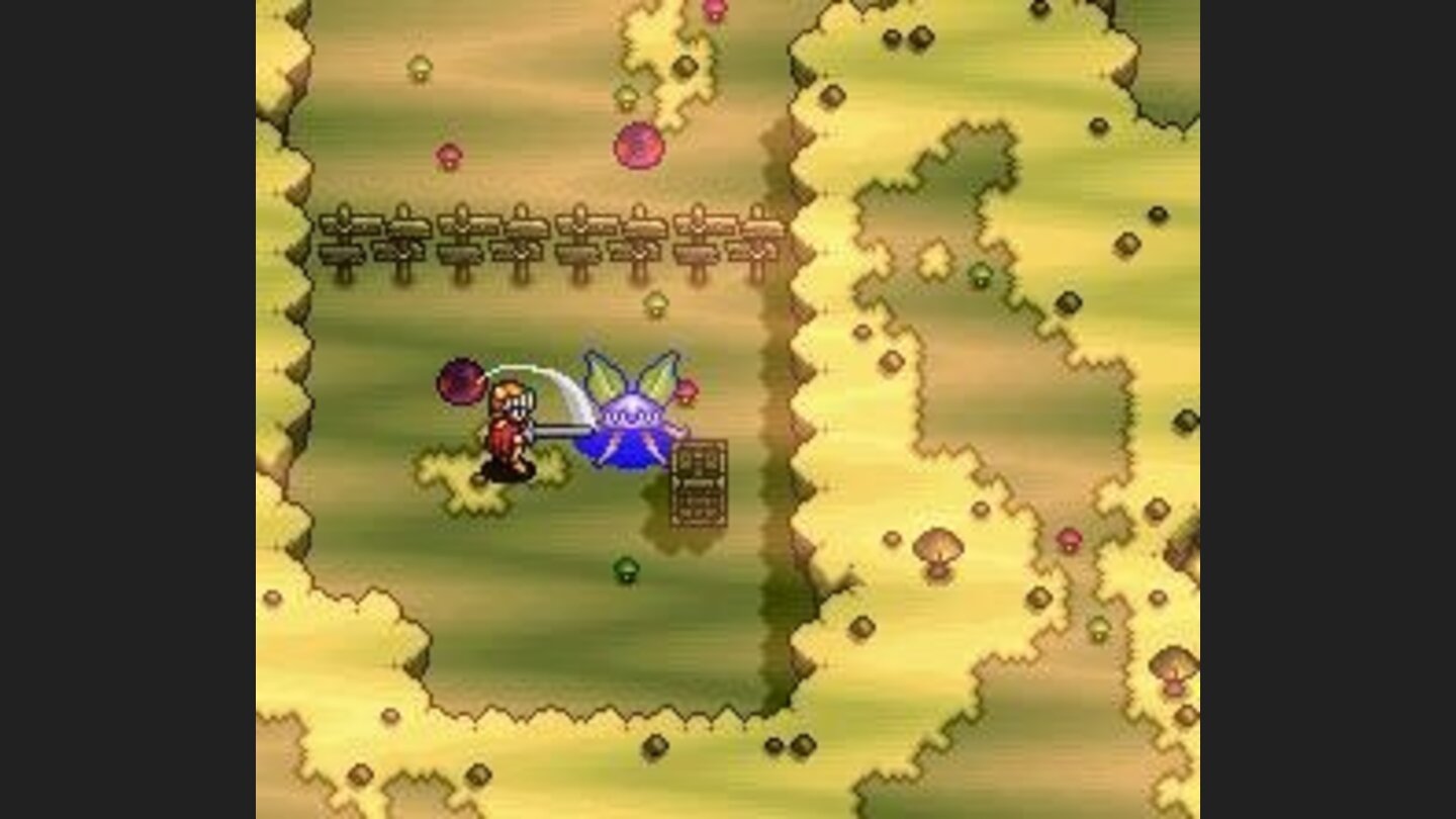 Blocked, you are fighting against fly-like creatures