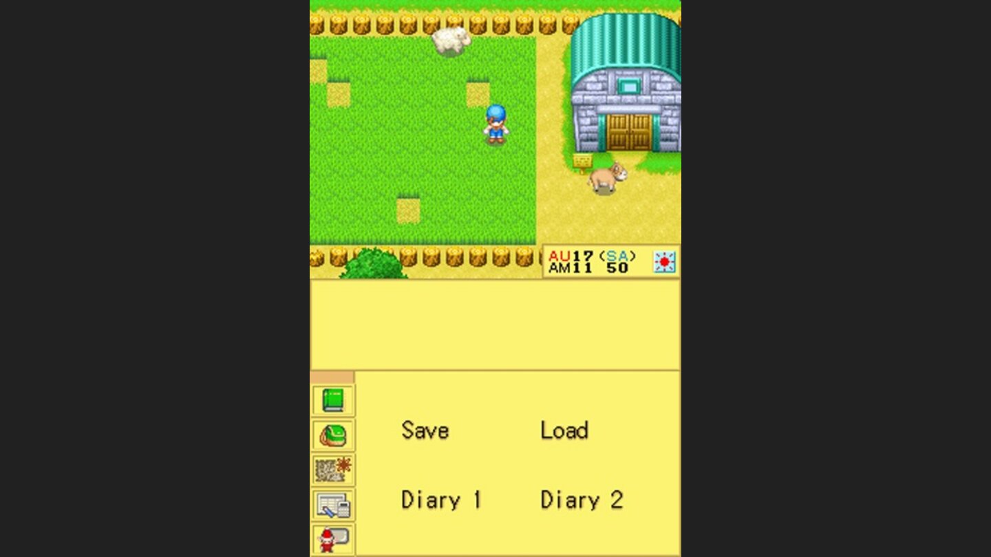 Harvest Moon DS 11