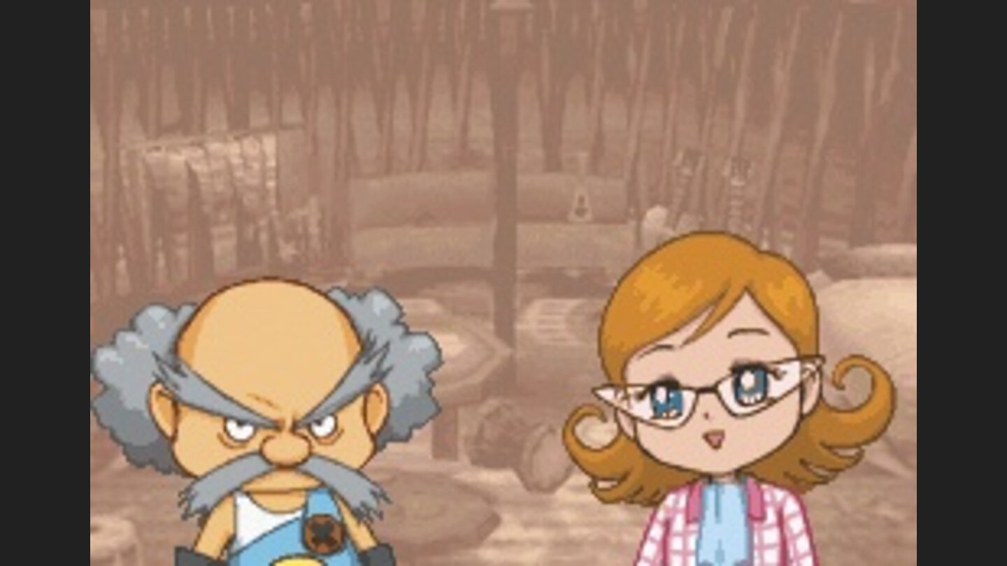 Harvest Moon DS 21