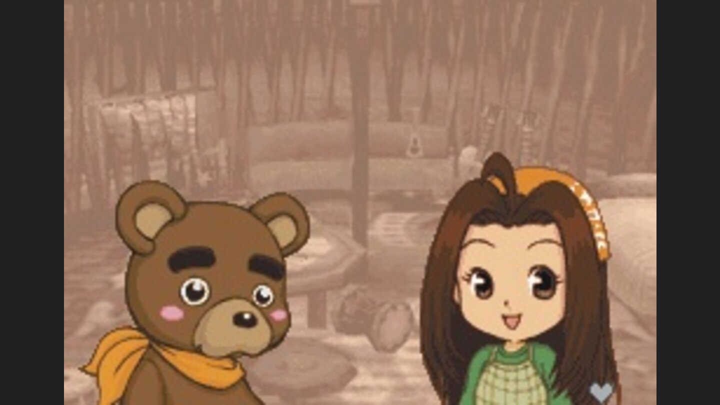 Harvest Moon DS 2