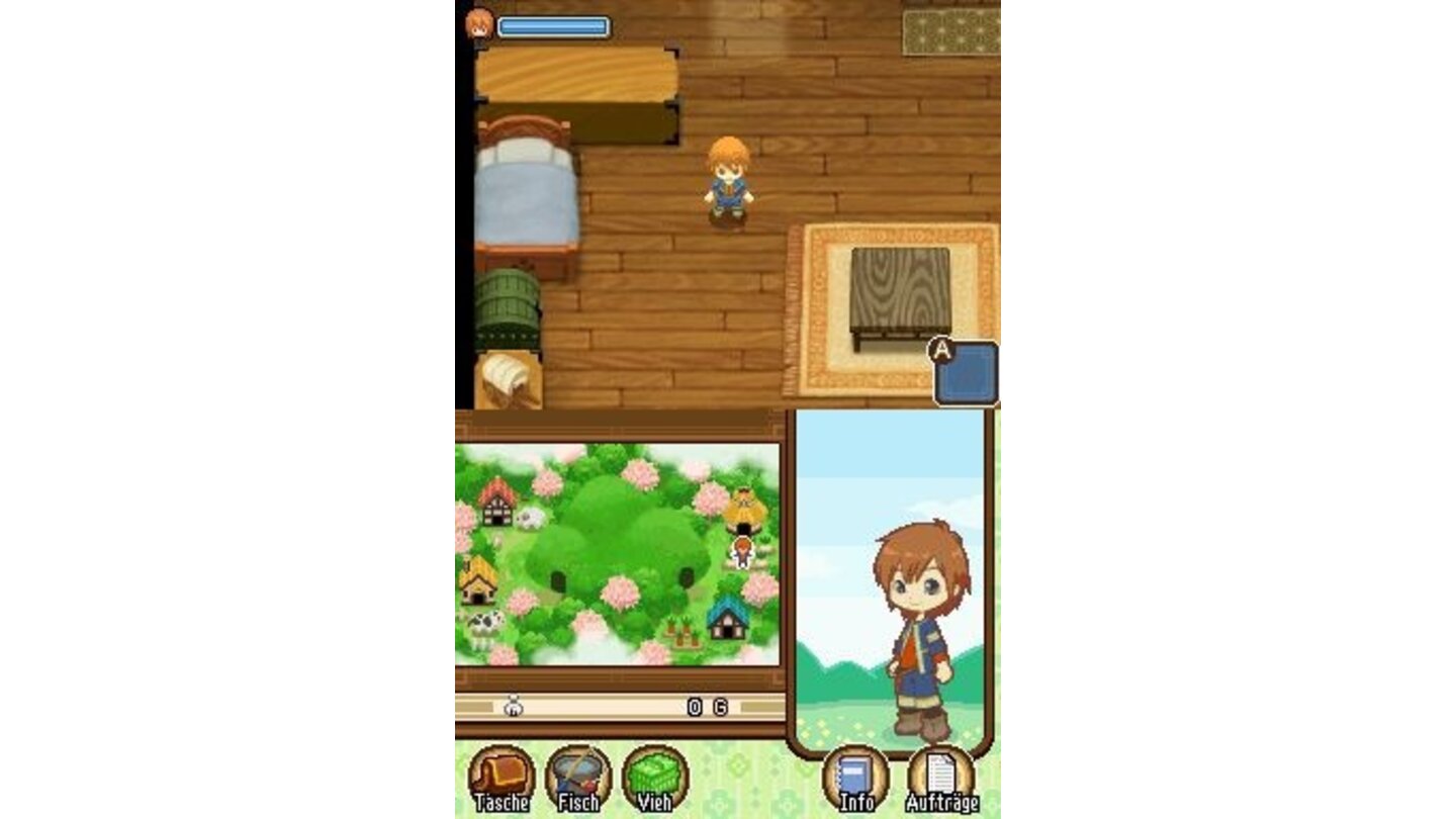Harvest Moon: Geschichten zweier StädteIn Harvest Moon DS: Geschichten zweier Städte dürft ihr wie gewohnt als Junge oder als Mädchen spielen.