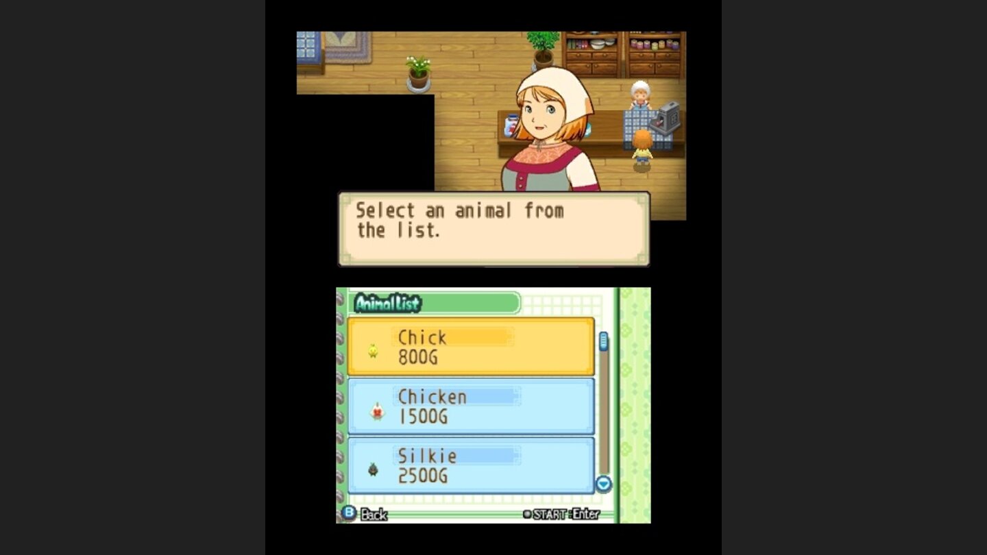 Harvest Moon: The Tale of Two Towns