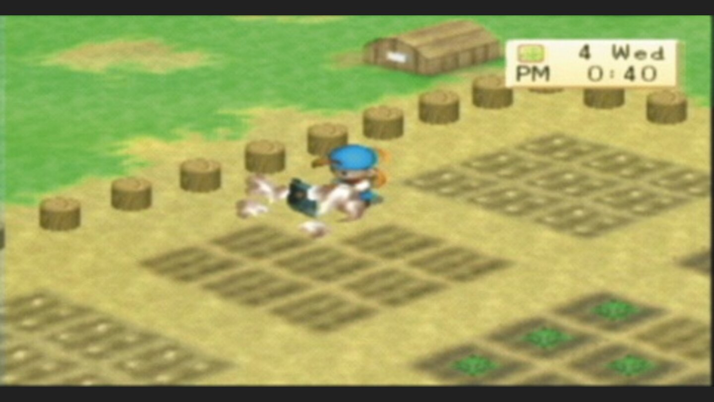 HarvestMoonBoyGirlPSP-11513-8 10
