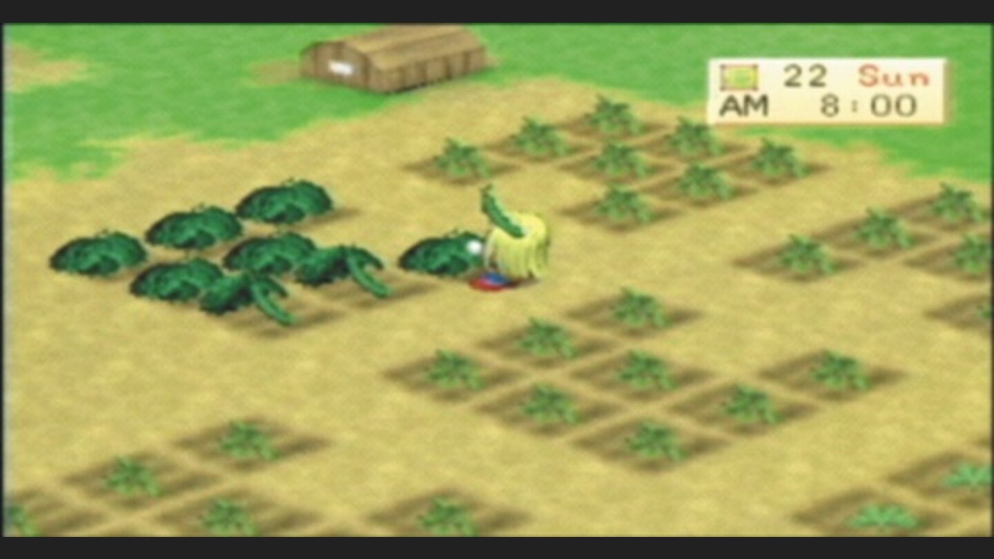 HarvestMoonBoyGirlPSP-11513-8 11