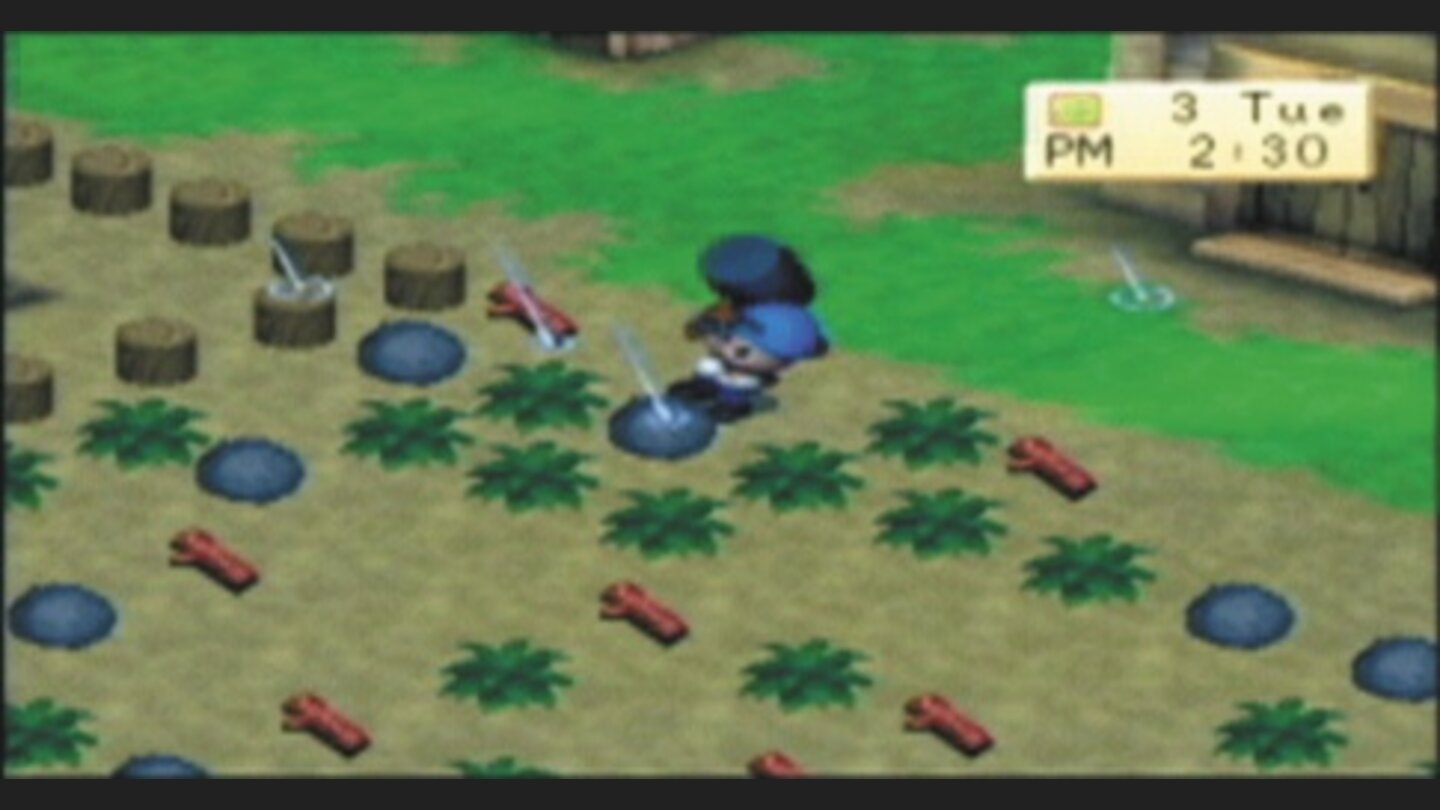HarvestMoonBoyGirlPSP-11513-8 4