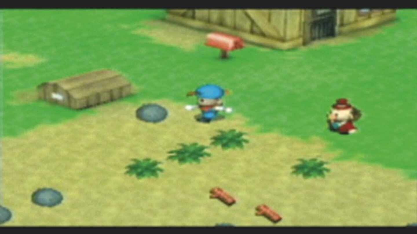 HarvestMoonBoyGirlPSP-11513-8 7