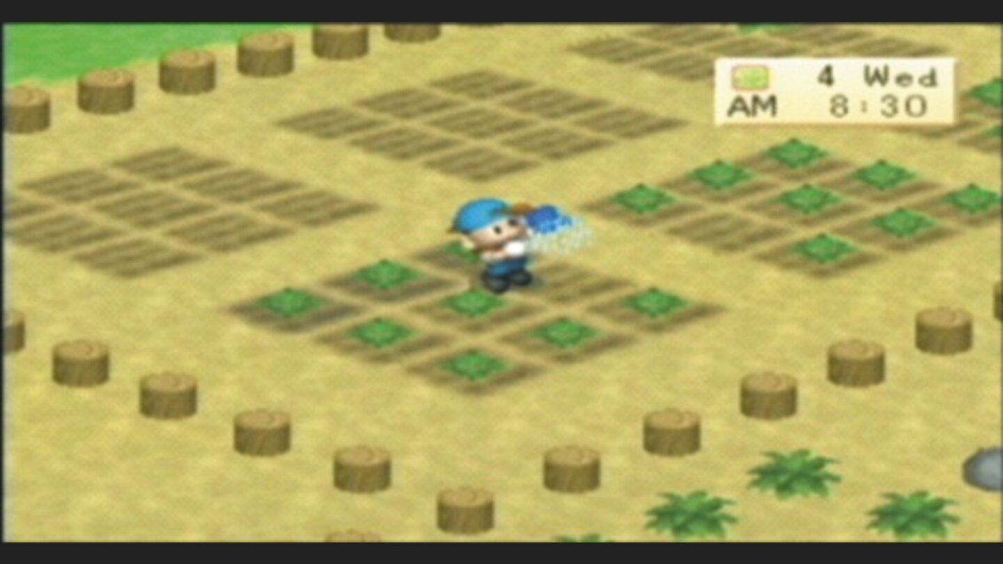 HarvestMoonBoyGirlPSP-11513-8 8