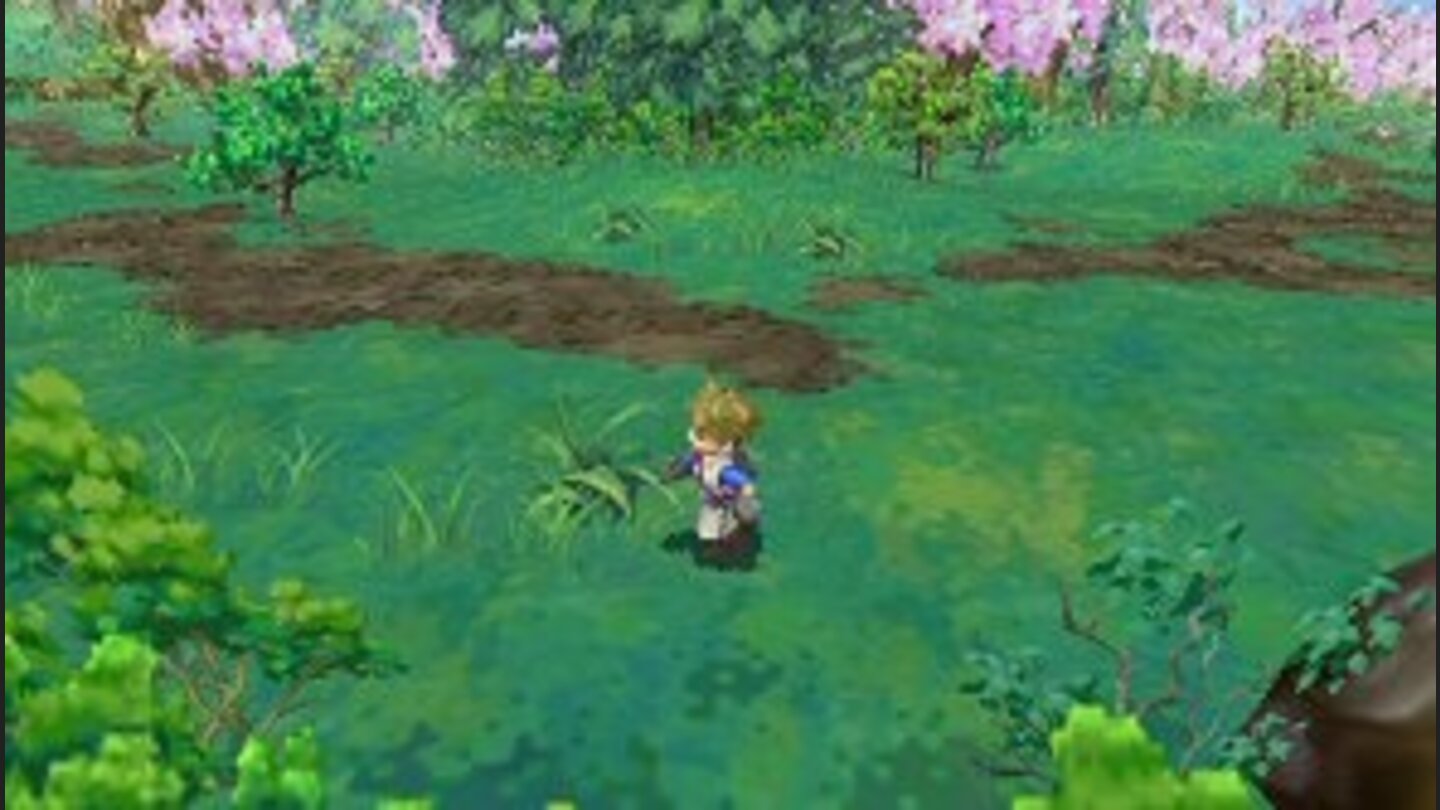 HarvestMoonInnocentLifePSP-8644-774 2