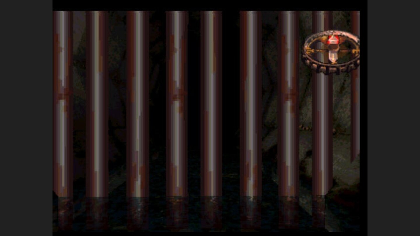Those bars block the way