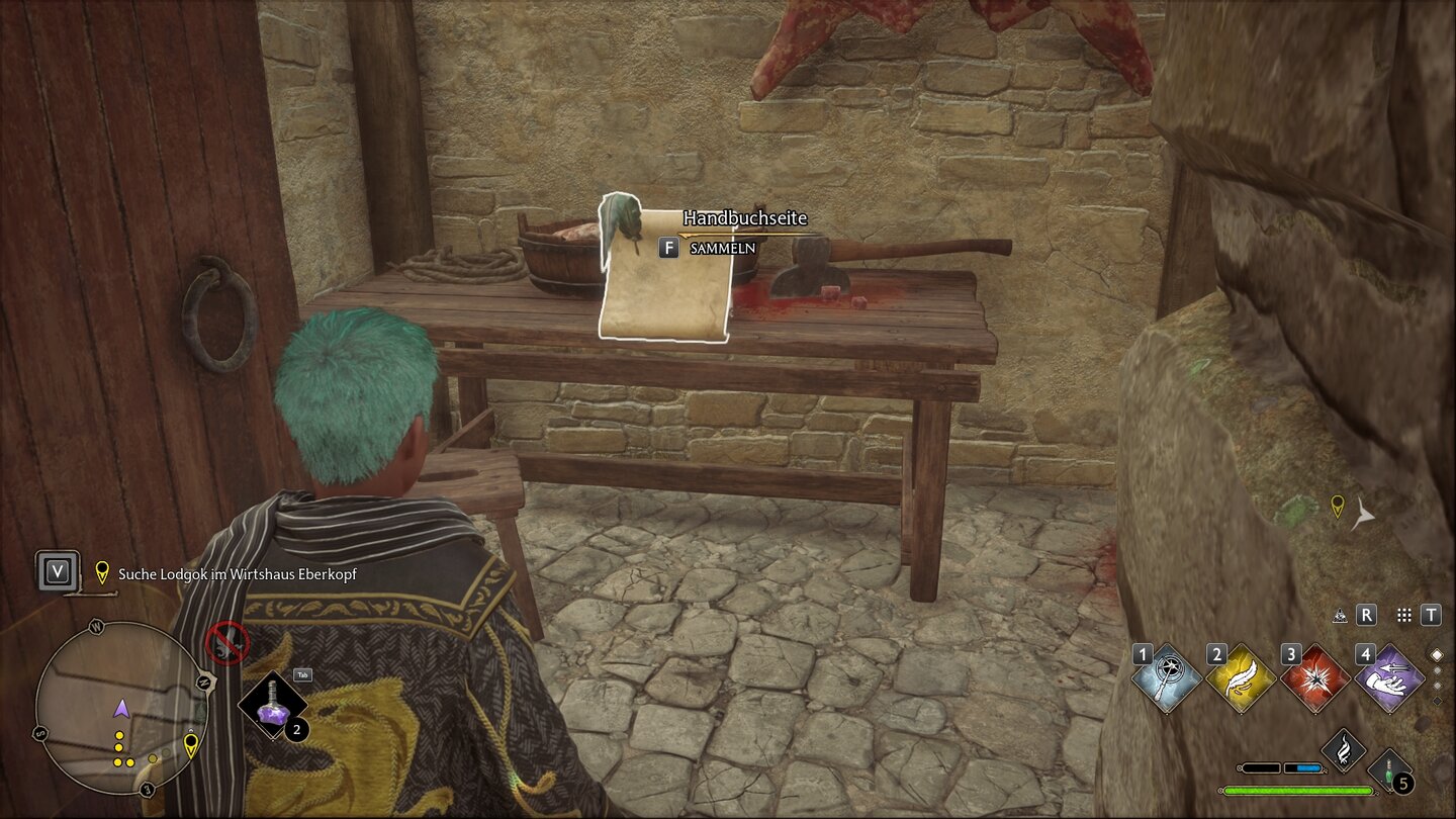 Hogwarts Legacy Revelio-Handbuchseiten 16 - Blutiges Fleisch