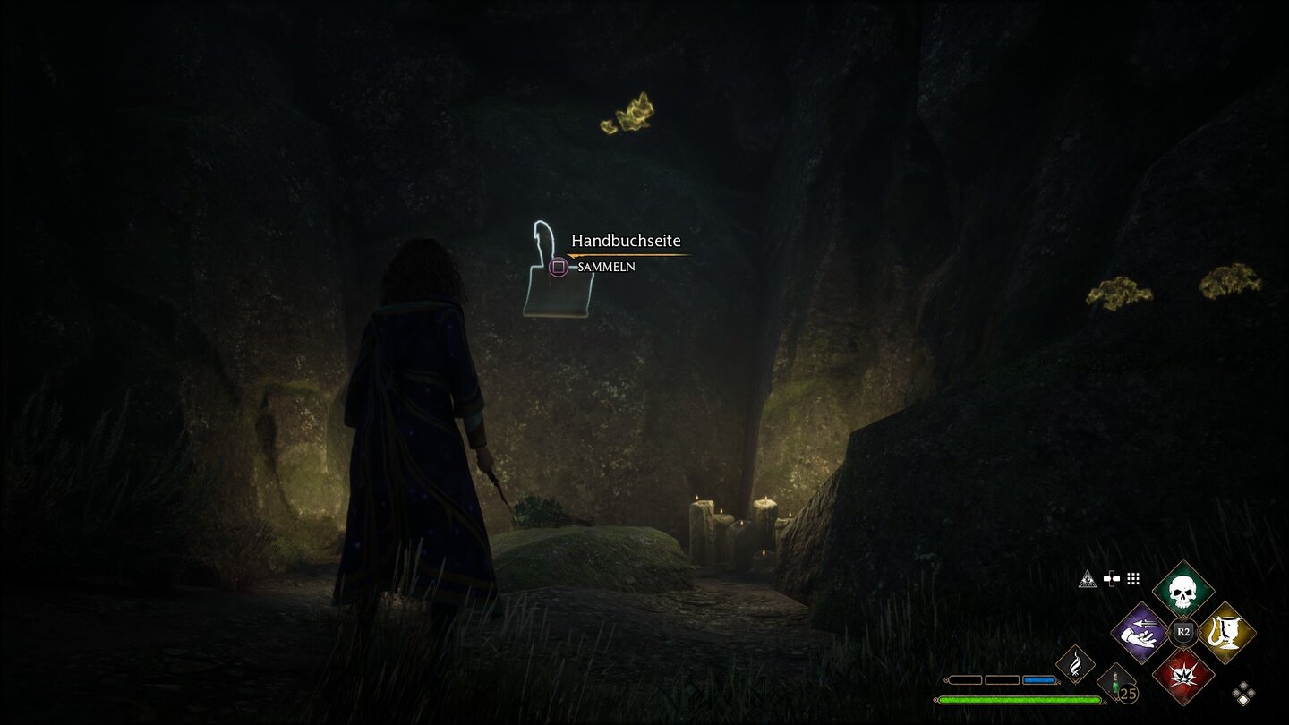 Hogwarts Legacy Revelio-Seite Hochland 24 - Liebstöckelstrauß