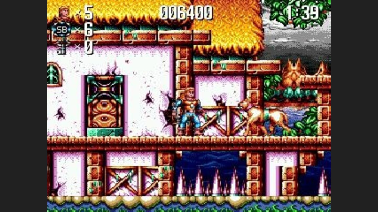 Hello, cute little doggie. Wheres your owner?