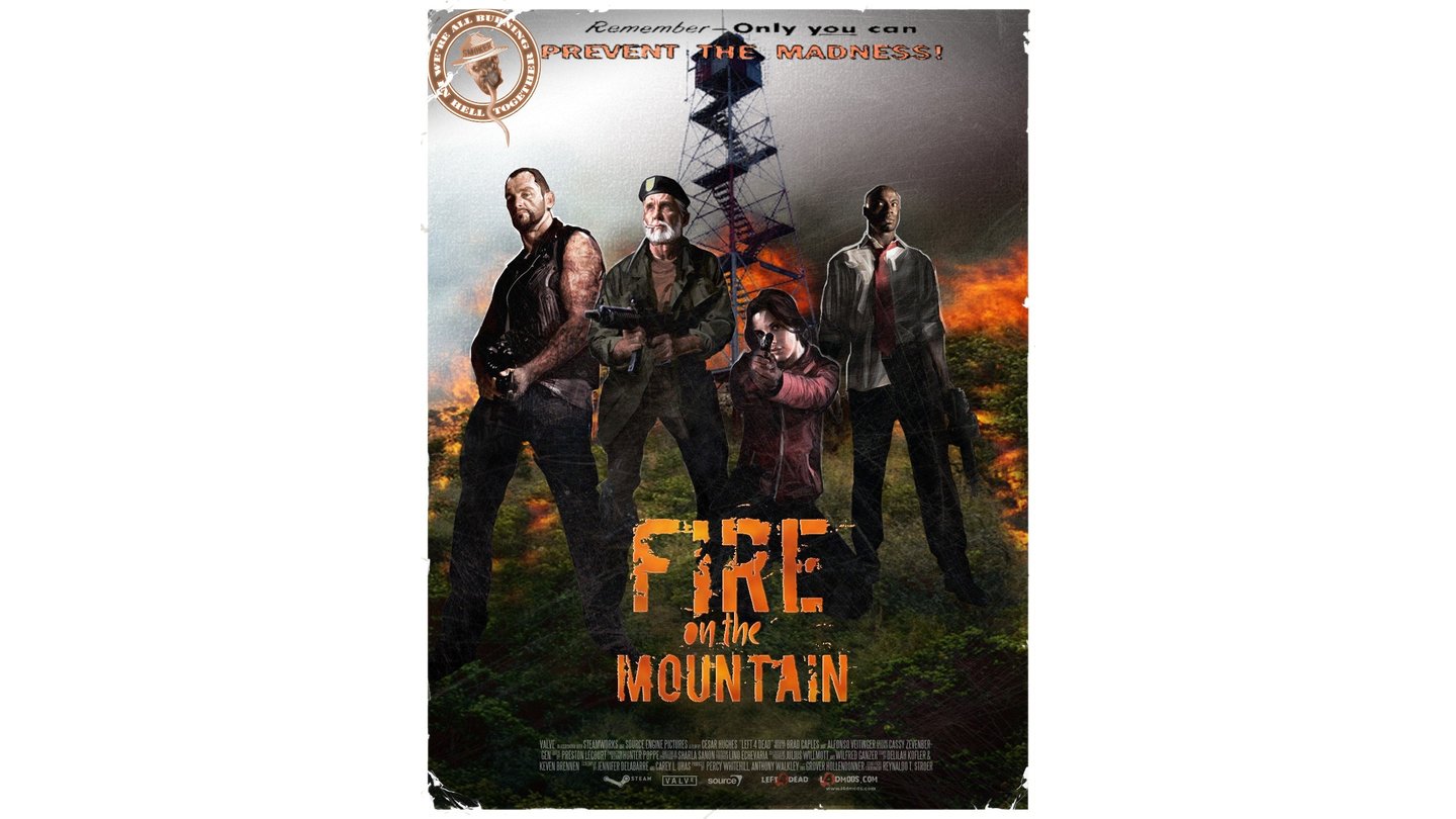 Joel Steffen - Fire on the Mountain