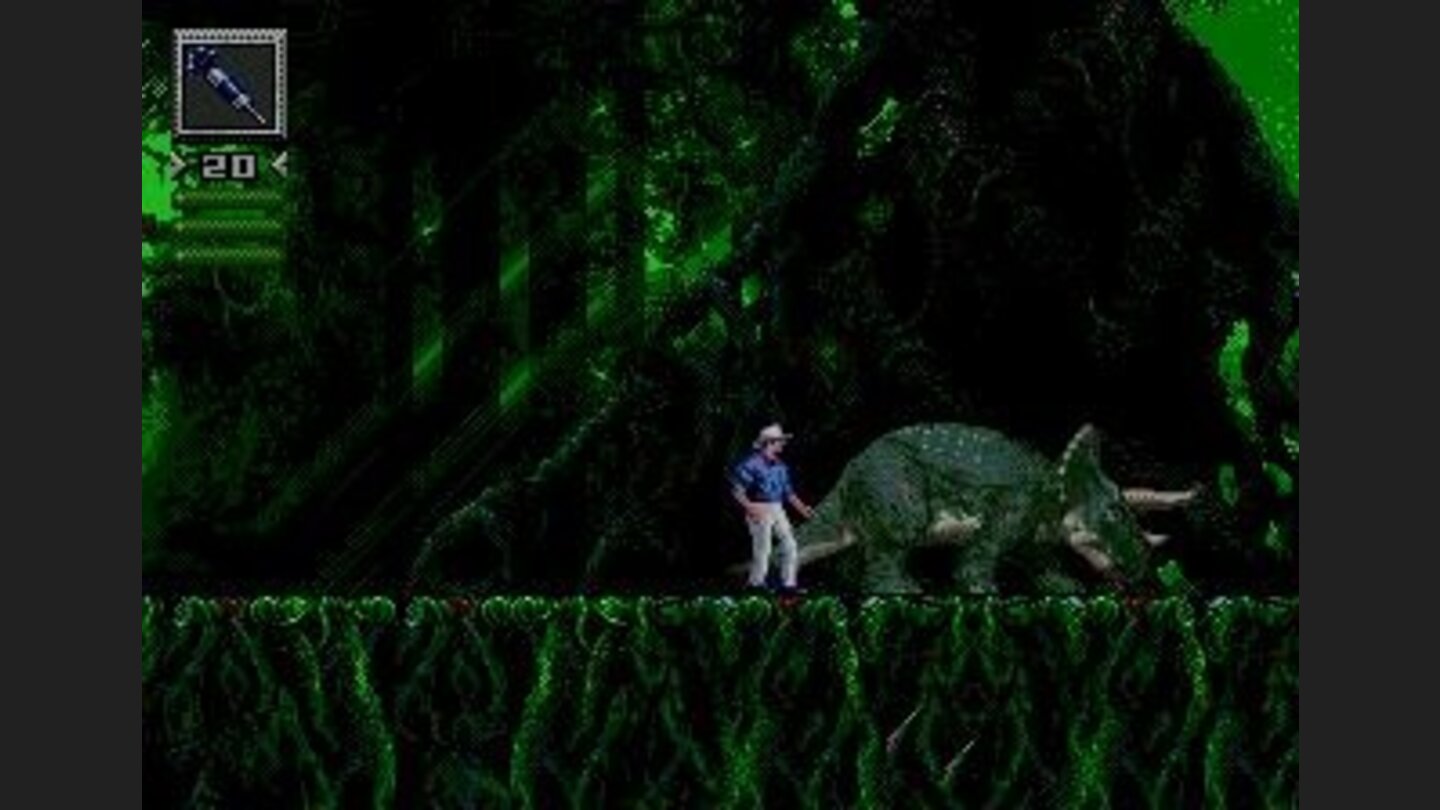 Nice to meet you: triceratops