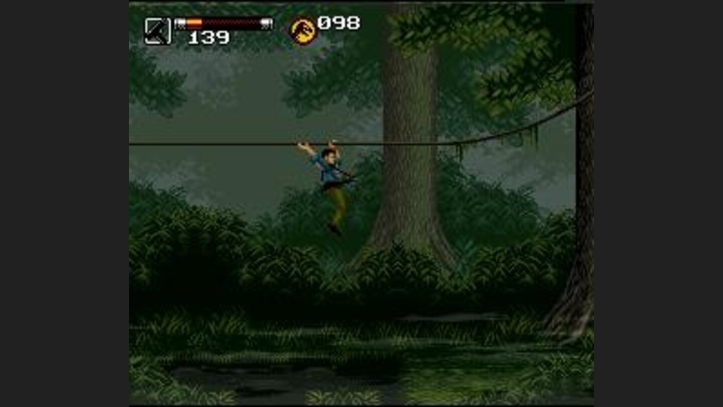 Swinging on some vines.