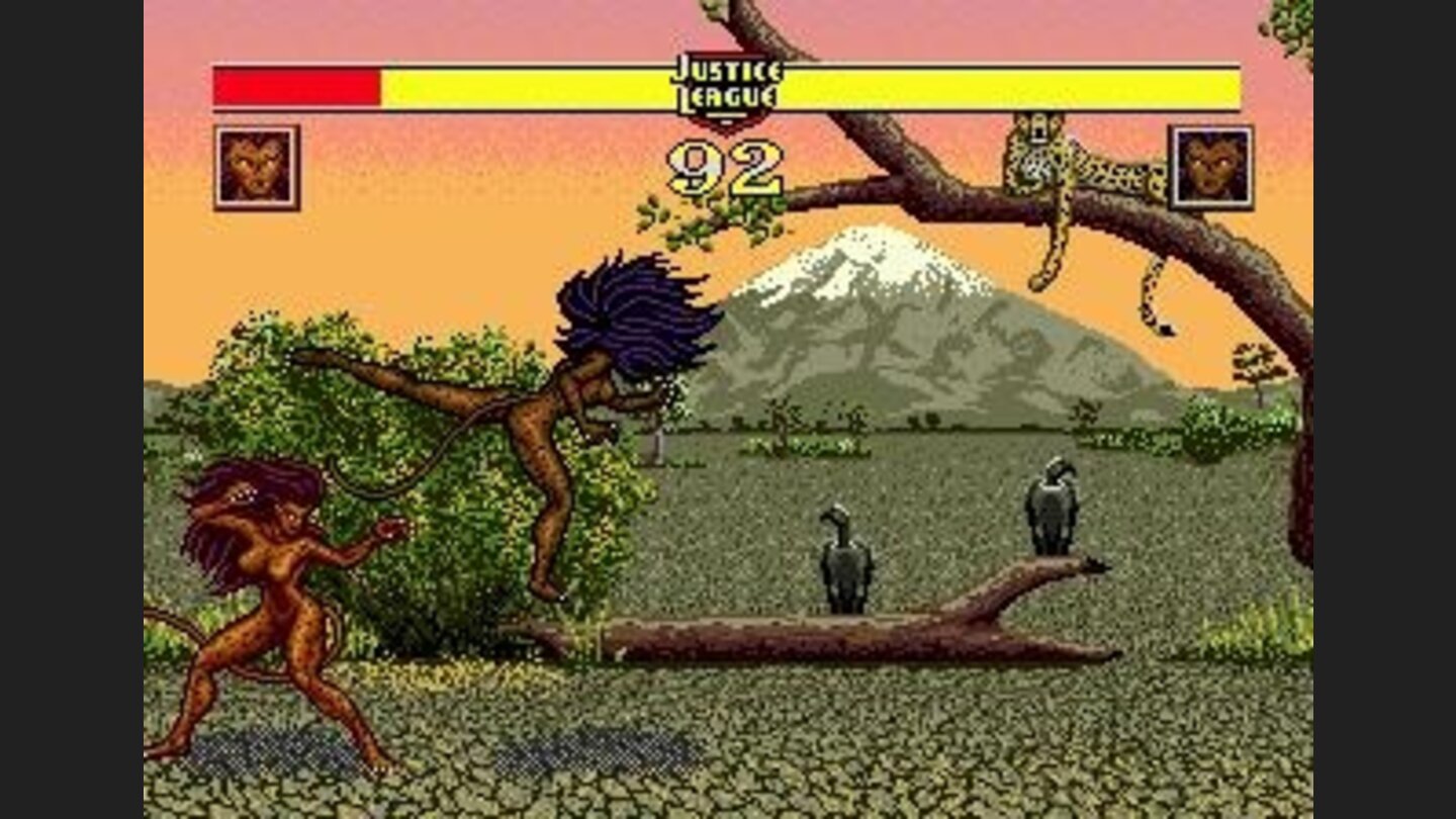 Cheetah is fighting Cheetah!